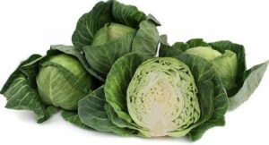 Cabbage