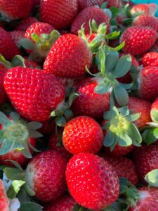 *Strawberries* per 500g