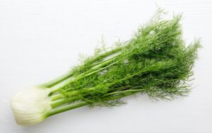 Fennel Per Piece