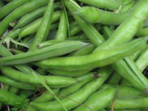 Broad Beans Per 500g