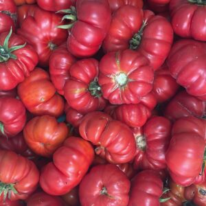 Beef Tomatoes - Flat (taċ-ċatt) per kg