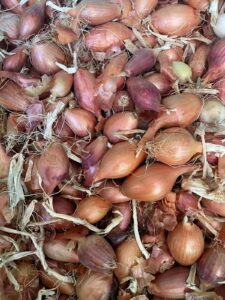 Small Onions per kg