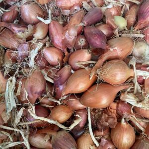 Small Onions per kg