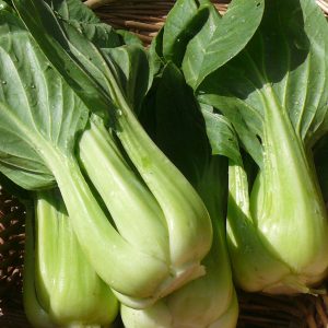 Bok Choy - per piece *LIMITED*